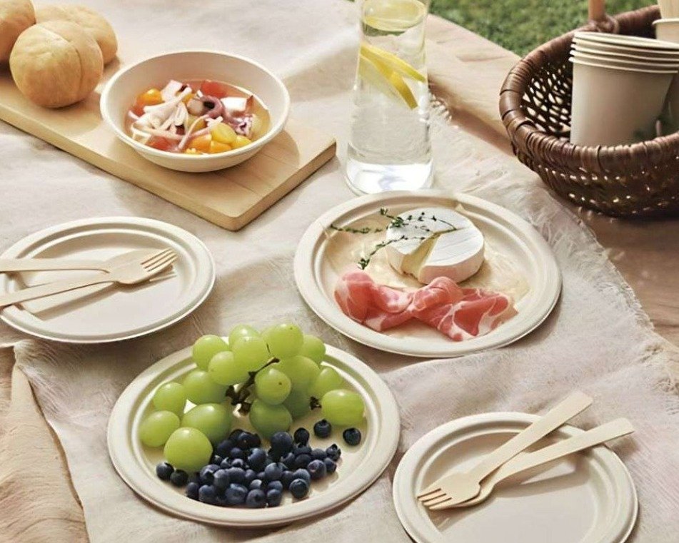 Biodegradable Bagasse Cutlery Products - Plates, Bowls, Containers, Partition Plates, Spoons, Tea/Water Cups..